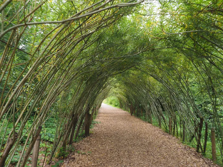 Parc Chlorophylle (Belgium)